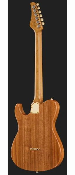 FGN Expert Iliad EW Thinline NTF, detail 3