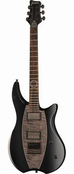 Framus Devin Townsend Stormbender Bl, front view
