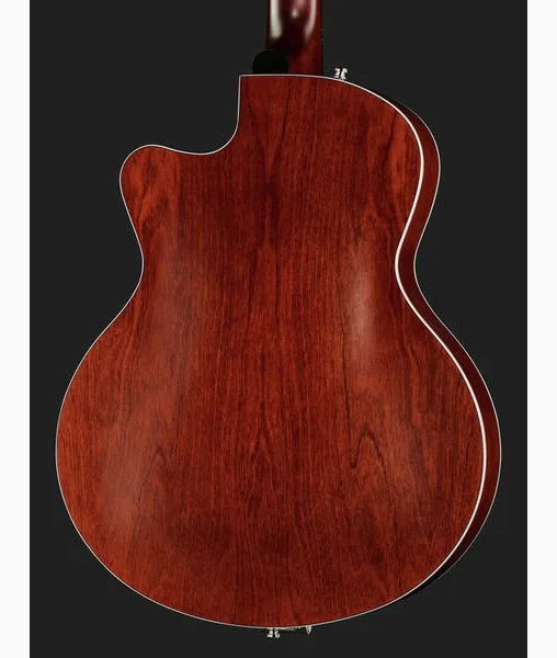 Godin 5th Avenue Uptown Custom BR, detail 5