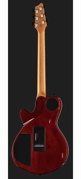 Godin xtSA Koa, detail 3