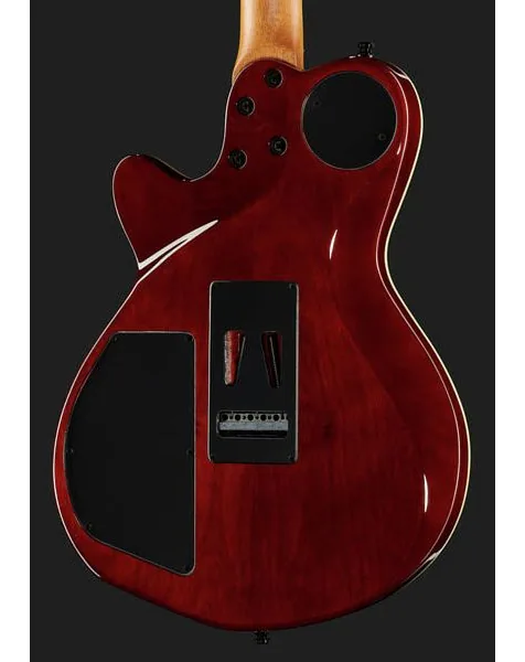 Godin xtSA Koa, detail 5