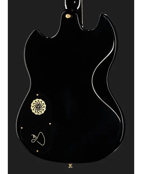 Guild Polara Kim Thayil, detail 5