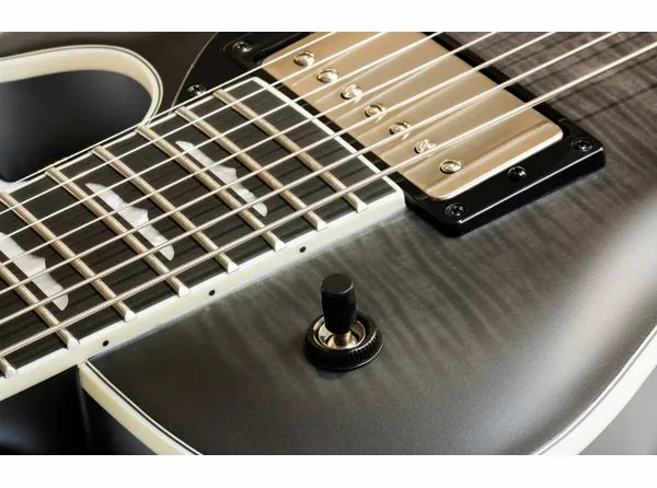Hagstrom Krona-7 BCC, detail 5