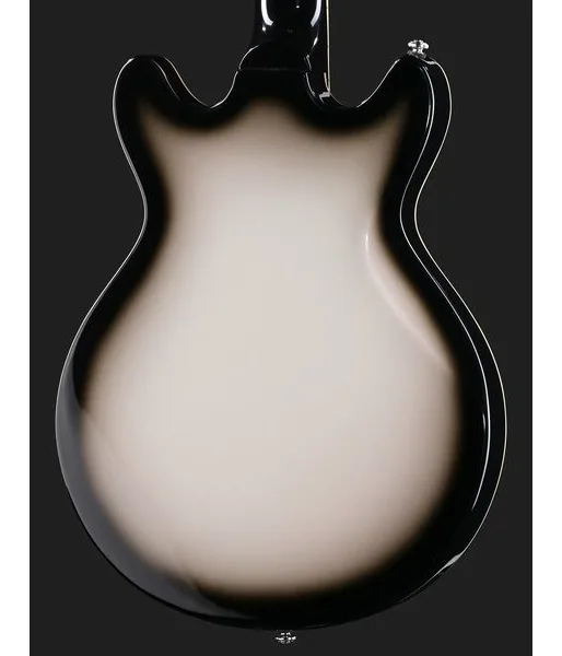 Hagstrom Megin Grey Burst, detail 5