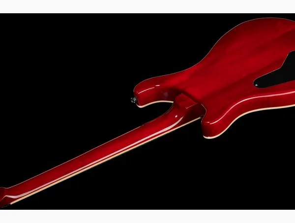Harley Benton CST-24 Paradise Flame w/Case, detail 4
