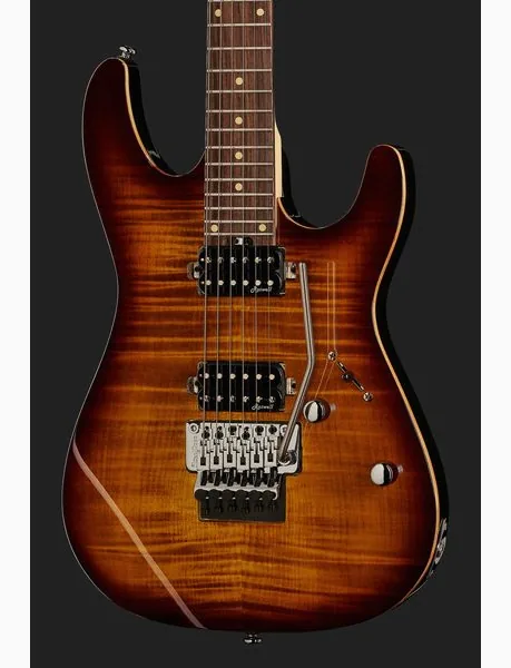 Harley Benton Fusion-III HH FR EB FBB w/Case, detail 4