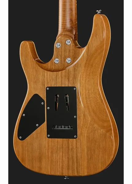 Harley Benton Fusion-IV HH MN QBKB, detail 5