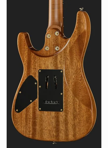 Harley Benton Fusion-IV HH RW FBB, detail 5