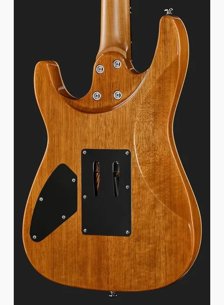 Harley Benton Fusion-IV HH RW FR QBLB, detail 5