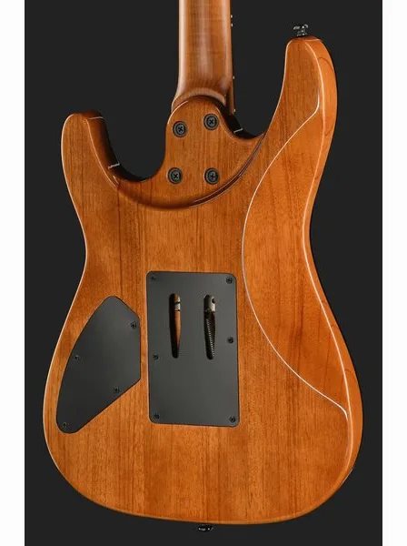 Harley Benton Fusion-IV HH RW FR WM, detail 5