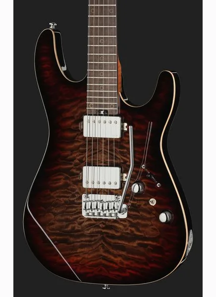 Harley Benton Fusion-IV HH RW QDG, detail 4