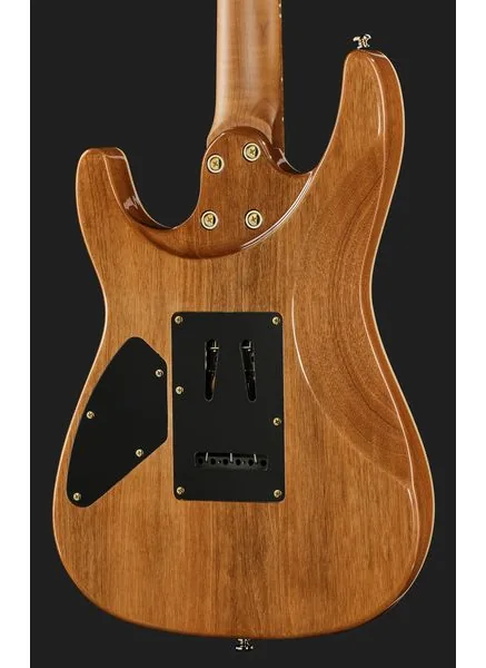Harley Benton Fusion-IV HSH MN PM, detail 5