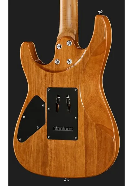 Harley Benton Fusion-IV HSS MN JM, detail 5