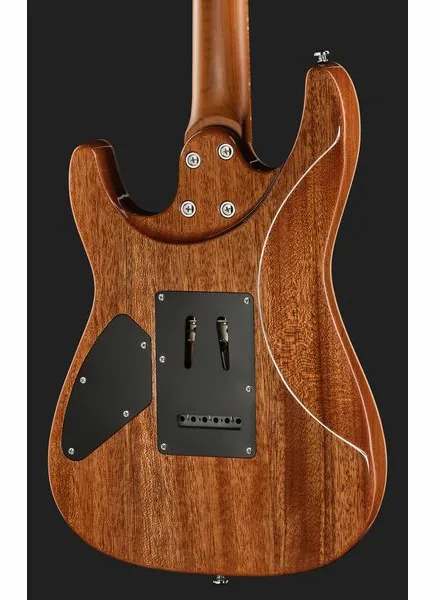Harley Benton Fusion-IV HSS MN QBKB, detail 5