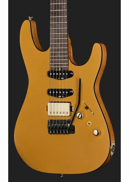Harley Benton Fusion-IV HSS RW SGD, detail 4