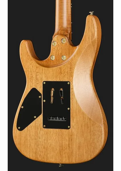 Harley Benton Fusion-IV HSS RW SGD, detail 5