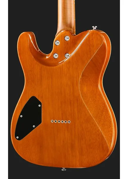Harley Benton Fusion-T II HH MN HT QBKB, detail 5