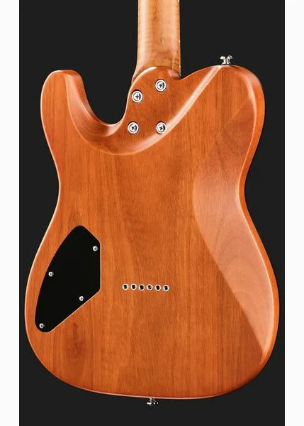 Harley Benton Fusion-T II HH MN HT SGR, detail 5