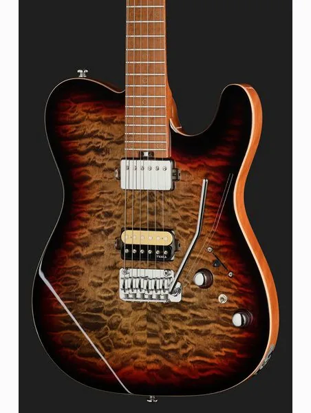 Harley Benton Fusion-T II HH MN QDG, detail 4