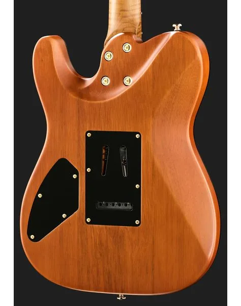 Harley Benton Fusion-T II HH RW SGD, detail 5
