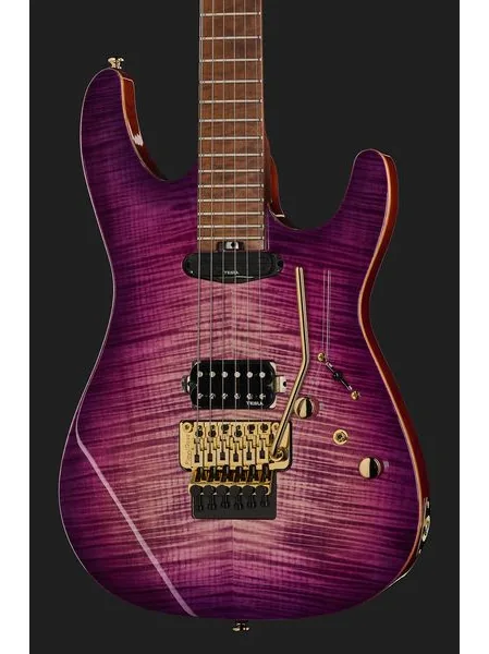 Harley Benton Guitar MAX Fusion Signature PF, detail 4