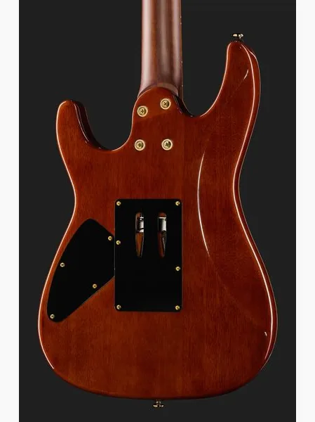 Harley Benton Guitar MAX Fusion Signature PF, detail 5