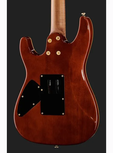 Harley Benton Guitar MAX Fusion Signature EF, detail 5