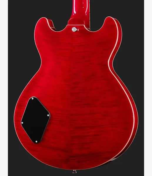 Harley Benton HB-35Plus Rotary TCH, detail 5