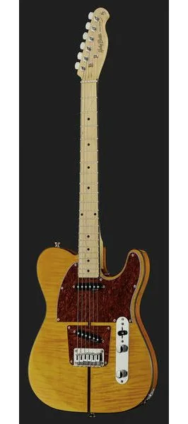 Harley Benton TE-80 NT Deluxe Series, detail 2