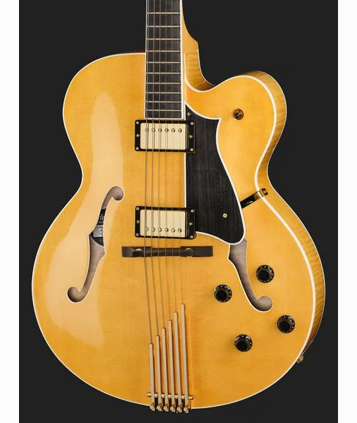 Heritage Guitar Eagle Classic AN, detail 4