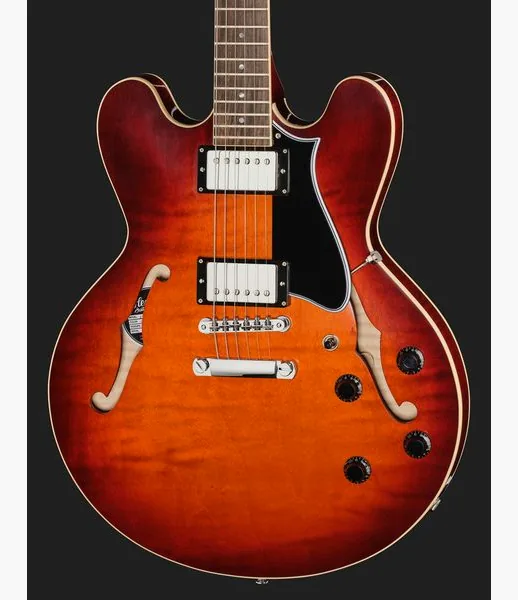 Heritage Guitar Standard II H-535 CNB, detail 4