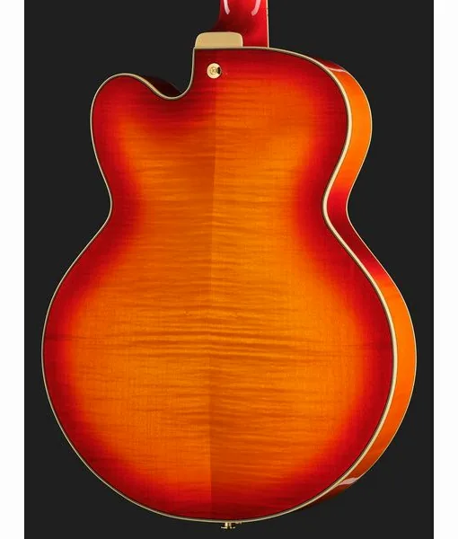 Ibanez AF115-AWB, detail 5