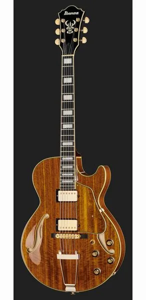 Ibanez AG95K-NT, detail 2