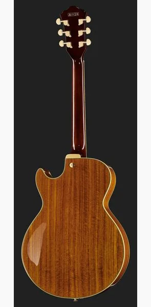 Ibanez AG95K-NT, detail 3