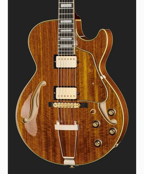 Ibanez AG95K-NT, detail 4