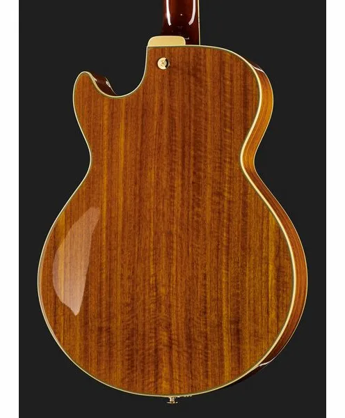 Ibanez AG95K-NT, detail 5