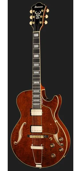 Ibanez AG95MG-DA, detail 2