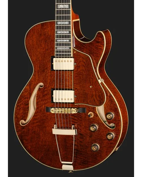Ibanez AG95MG-DA, detail 4