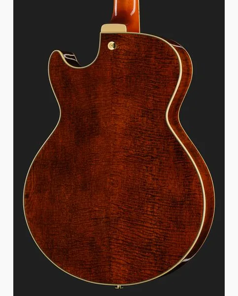 Ibanez AG95MG-DA, detail 5