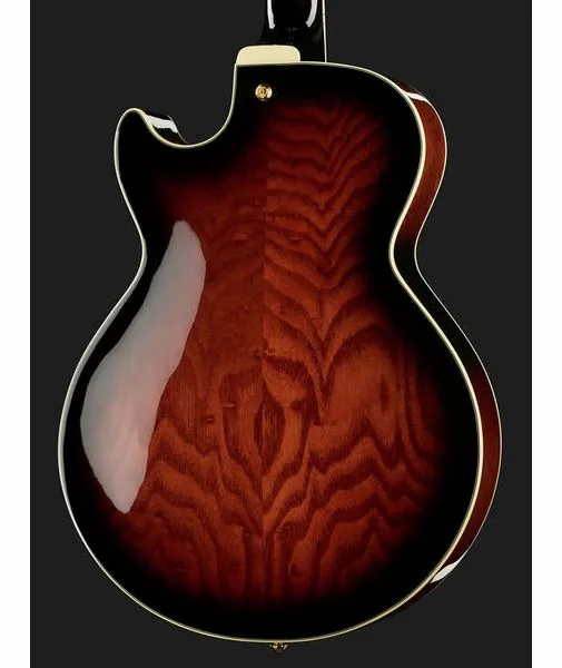 Ibanez AG95QA-DBS, detail 5