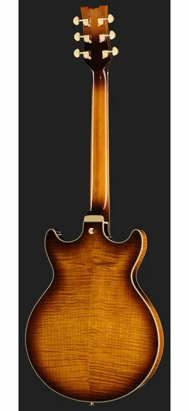 Ibanez AM153FM-ATT, detail 3