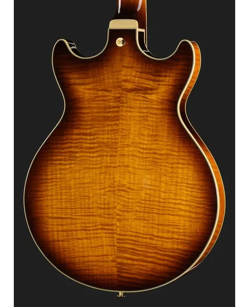 Ibanez AM153FM-ATT, detail 5