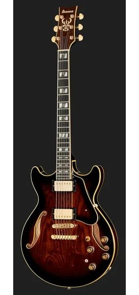Ibanez AM153QA-DBS, detail 2