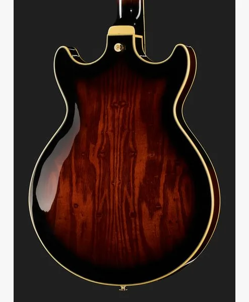 Ibanez AM153QA-DBS, detail 5