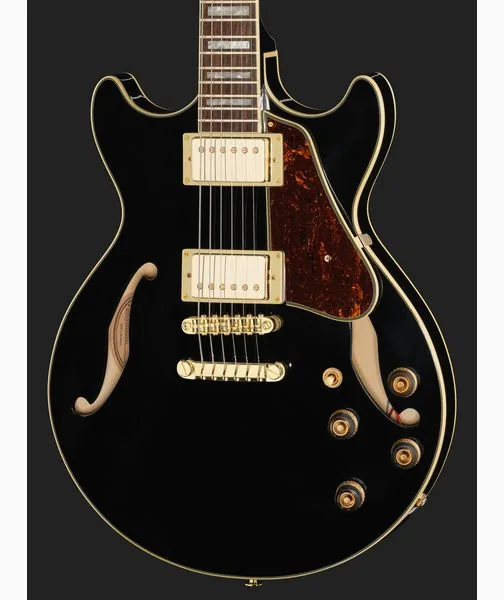 Ibanez AM73G-BK, detail 4