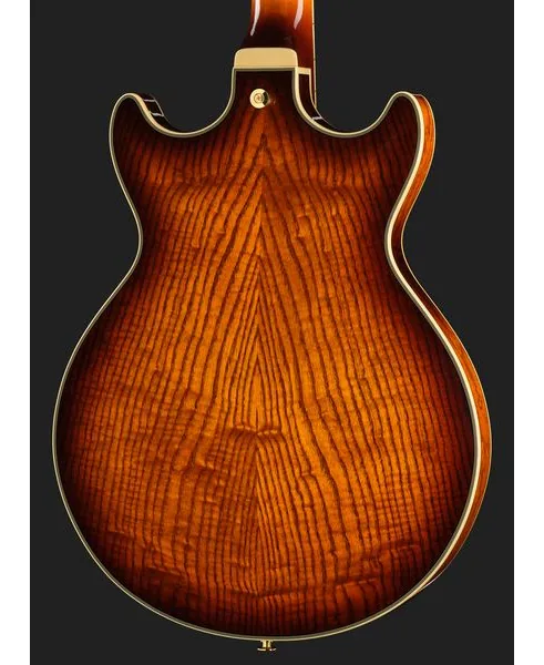 Ibanez AM93QA-VVH, detail 5
