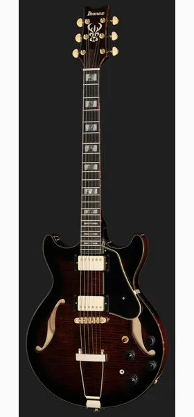 Ibanez AMH100FM-DVS, detail 2