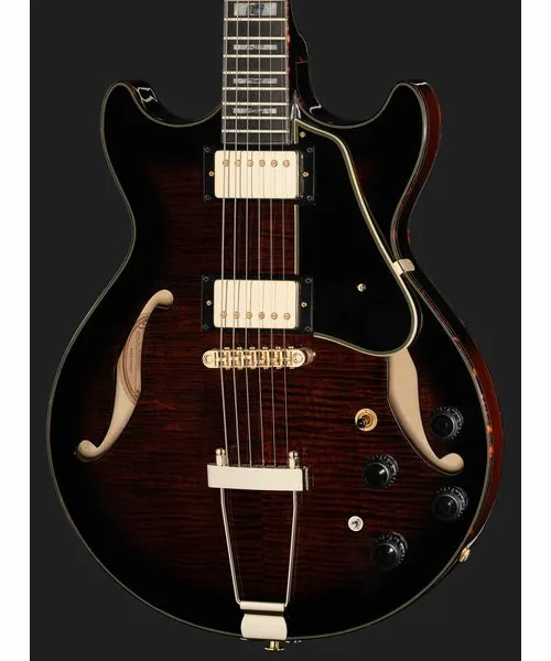 Ibanez AMH100FM-DVS, detail 4