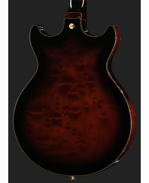 Ibanez AMH100FM-DVS, detail 5