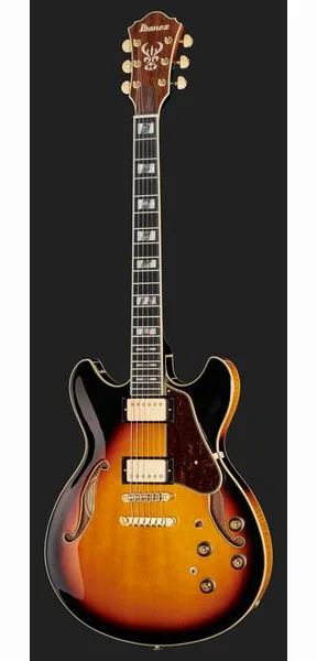 Ibanez AS113-BS, detail 2
